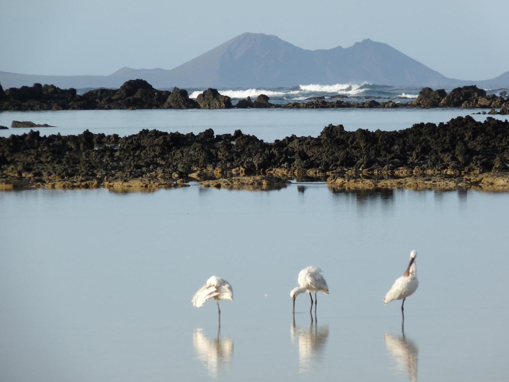 Casa Ana Y El Mar - Para Enamorados Del Mar - Lanzarote Teguise  Zewnętrze zdjęcie